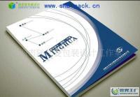 專業平面設計服務覆蓋廣州荔灣、白云、增城、南沙，助力企業畫冊設計