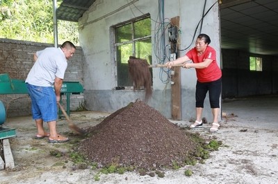 變廢為寶！劍河縣創新研發廢舊菌棒發酵生物飼料助力養殖業降本增效
